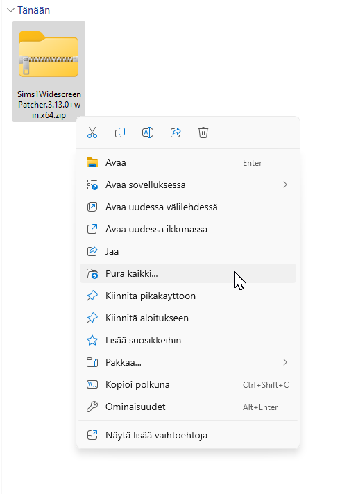 The Sims 1 laajakuvana Windows 11:llä – Kattava asennusopas 8